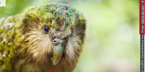 Screenshot of the caption and credits of a hero image.