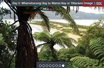 Screenshot of image identified as owned by DOC.